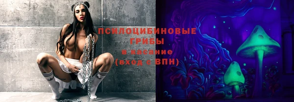 гашик Киреевск