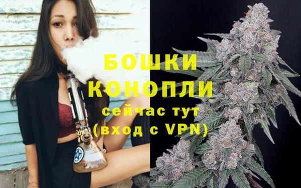 прущие грибы Приозерск