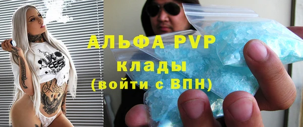 сатива Кукмор
