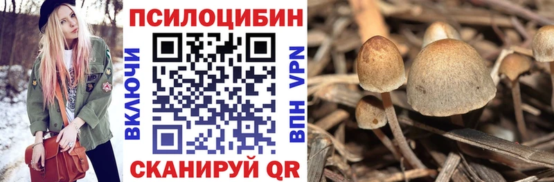 купить наркотики цена  ОМГ ОМГ как зайти  Галлюциногенные грибы MAGIC MUSHROOMS  Билибино 